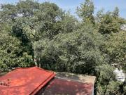 Privada de los Cedros Bis