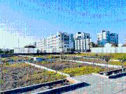 Privara Vihar 7,Mihan Residential Plot For Sale Nagpur
