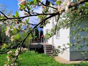 Privat: Charmantes Einfamilienhaus mit großer Terrasse...