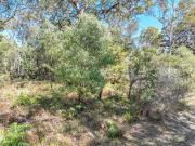 Private and Peaceful with Superb Potential