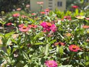 Private Island Retreat Updated Home on 1,012m² With Studio