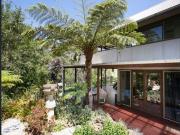 Private Rain Forest Retreat with a Studio!