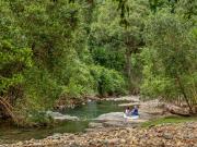 Private Rainforest Retreat with Creek Access & Off Grid...