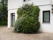 PRIVATO AFFITTA DEPOSITO MAGAZZINO 120 mq con zona ufficio