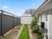 Privet Courtyard Oasis