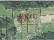 PRIVILEGIADO ENTORNO NATURAL, A UN PASO DE LA PLAYA DE...