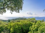 PROCHE DU VILLAGE & PLAGE DU RAYOL: VILLA AU VUE MER PANORAM