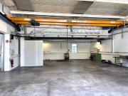 Produktions oder Lagerhalle mit 2 Tonnen Kran in bester...