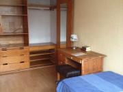 PROFESIONISTAS/EXCHANGE PROGRAM/ENGLISH SPEAKING