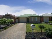 Professional & Straightforward