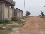 Professor Model Town Cooperative Housing Society near...