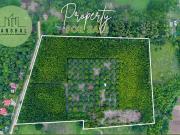 Profitable Farmland For Sale in Botolan, Zambales!