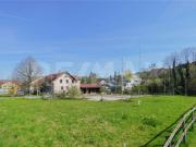 Projektankündigung: Modernes Wohnen in grüner Umgebung