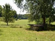 Projektgrundstück mit über 4.000 m2: Natur, Freizeit &...