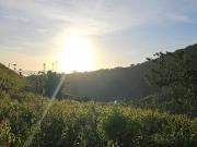 PROMO MINIFARM LOT 1009SQM 350K only in Salaysay,...