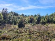 Parcela semi despejada y bosque nativo a 15 min de...