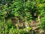 PROPERTY # 11043 LOT FOR SALE IN NEWTOWN ESTATE BULACAO...