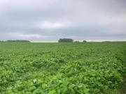 Property For Rent In Rangemore, Burton on trent