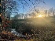 Property For Sale In Land, Blairadam, KY4
