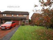 Property to rent in Bainsford, FK2, Williamson Avenue...