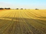 Propiedad agrícola en Teruel capital