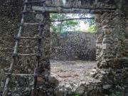 Propiedad con 2 cenotes en venta en Tixcacalcupul