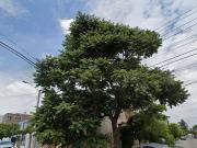 PROPIEDAD EN RECUPERACION BANCARIA EN LA COLONIA...