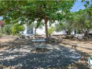 ¡Propiedad Única con Licencia Turística en Mas Boscà...