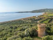 Propriano, Olmeto, Tour Génoise, 3 chambres, piscine,...