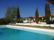 QUINTA Possibilidade de ecoturismo 218 ha no ALGARVE