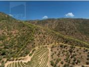 Propriedade c/ Vista Rio Douro e Moradia V5 p/ Recuperar