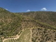 Propriedade c/ Vista Rio Douro e Moradia V5 p/ Recuperar