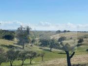 Propriedade com 6,625 hectares em Serpa / Baixo Alentejo