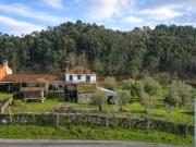 Propriedade com Casa Antiga T3 para Restauro Beiral do Lima