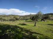 Propriedade com cerca de 12 ha e excelente vista panorâmica