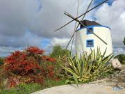 Propriedade com Moinho de vento ex libris da paisagem e...