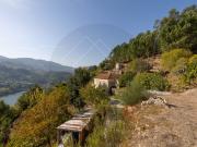 Propriedade com Vista Panorâmica para o Douro Moradia e...