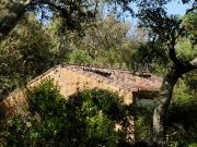 Propriedade próxima de São Martinho das Amoreiras