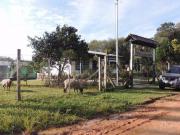 Propriedade Rural no bairro Bom Retiro proximo a escola...