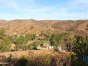 Propriedade T2 em Silves de 220,00 m2