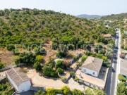 Propriedade tradicional com olival em São Brás de Alportel