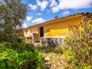 Propriedade única com 3 casas para restaurar, rodeada...