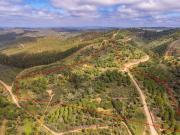 Propriedade única com 3 casas para restaurar, rodeada...