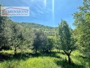 Proprietà rustica in vendita di 166 m² in Via Valmana