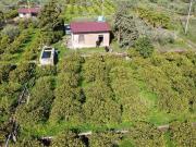 Proprietà rustica in vendita di 16857 m²