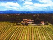 Proprietà rustica in vendita di 180900 m²