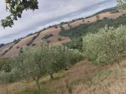 Proprietà rustica in vendita di 188 m²