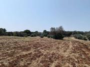 Proprietà rustica in vendita di 20 m² in Contrada Santo...