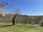 Proprietà rustica in vendita di 250 m²