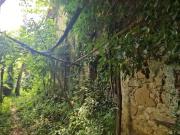 Proprietà rustica in vendita di 25 m² in Strada Canetra...